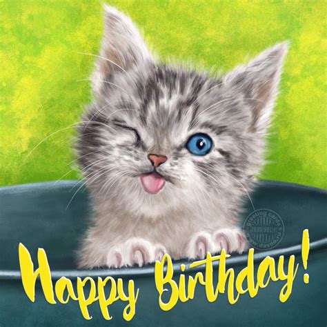 happy birthday with cat pictures|happy birthday cute cats images.